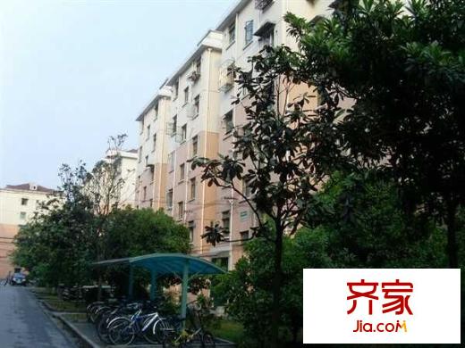报春一村外景图