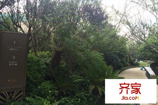 大宁金茂府小区(2015.6)