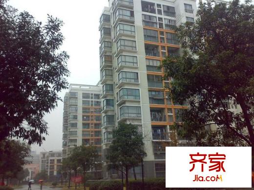 浦江世博家园九街坊外景图