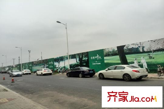 保利叶之林周边环境