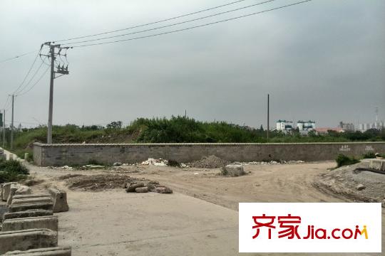保利叶之林规划中的大场体育公园地块