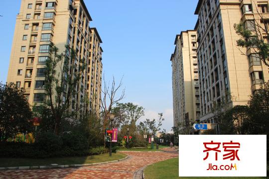 保利叶之林(2015.3.11)