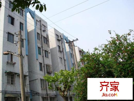 共富一村外景图
