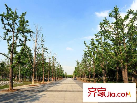 新城香溢平方米庭配套图沿街林木大道