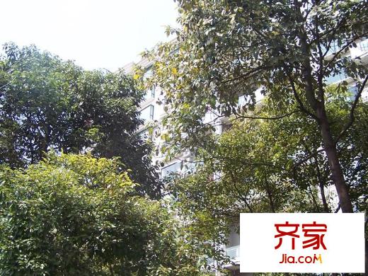 第九城市