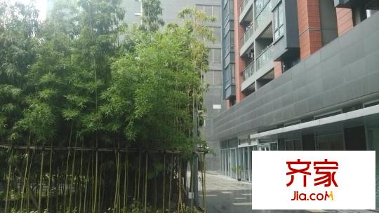 證大寬域外景圖 