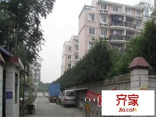 紫葉路152弄小區(qū)外景圖上海 紫葉路152弄 