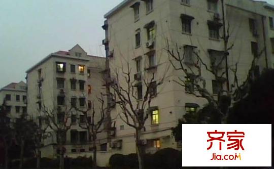 羅山八村外景圖