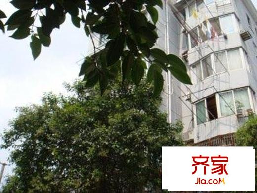 三泉路415弄小区外景图三泉路415弄