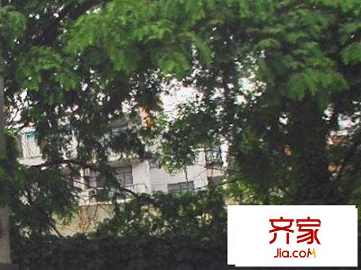 政民路511弄小区外景图政民路511
