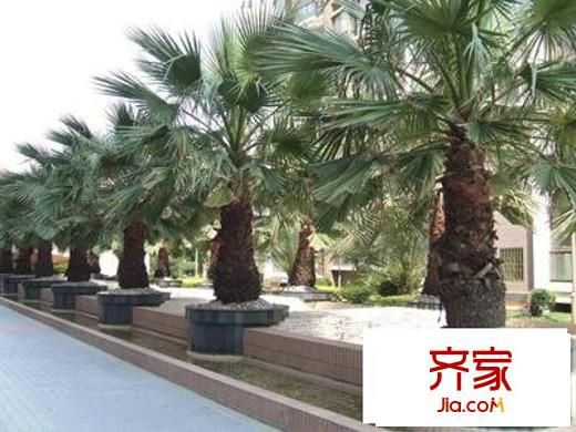 文坊崇文苑外景图