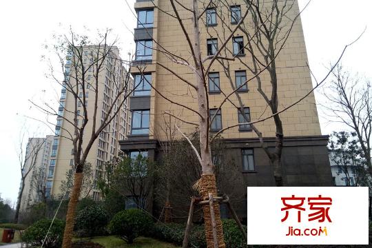 匯智湖畔家園外景圖樓棟實(shí)景