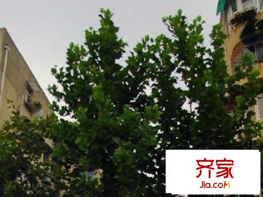虹园六村外景图