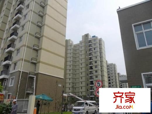 高行綠洲外景圖 