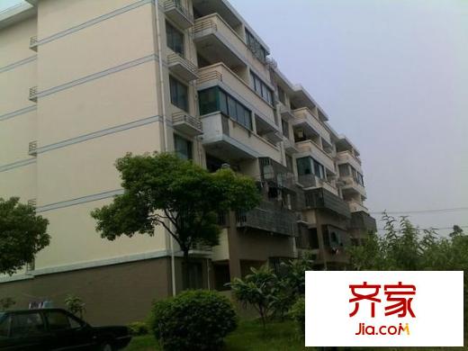 金灣佳園外景圖 