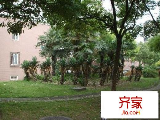 建德花园丁香苑外景图户