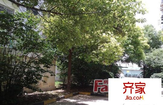 星云小區(qū)外景圖 