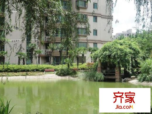大唐盛世花園二期外景圖 