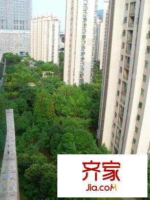 大唐盛世花園二期外景圖 
