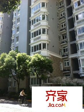 鉴赏新华外景图