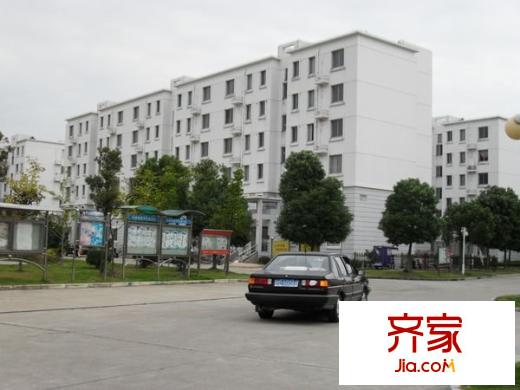 東唐苑外景圖 
