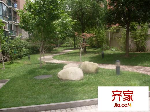 新柳公寓外景图SDC13635