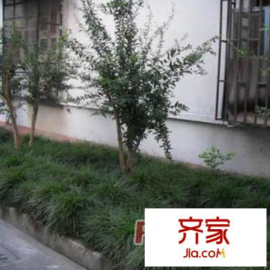 灵石路896弄小区外景图上海 灵石路896弄