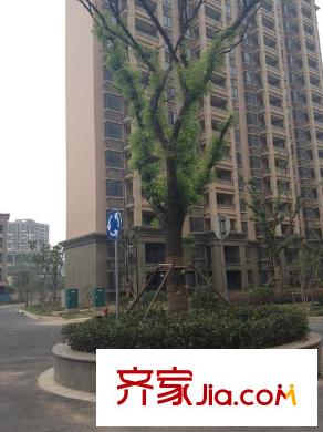 東方冠郡配套圖 周邊配套