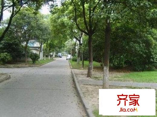 金祁新城外景图