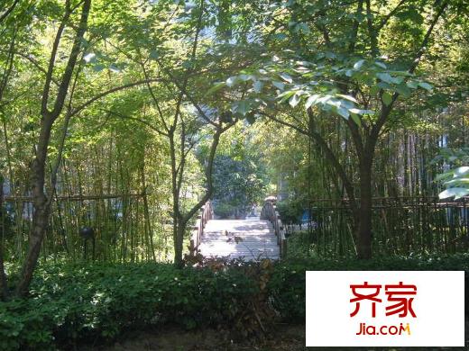 春之聲中星公寓外景圖 