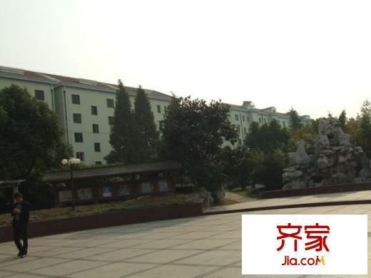 楊園四村