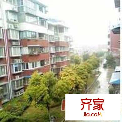 共富三村外景图上海
