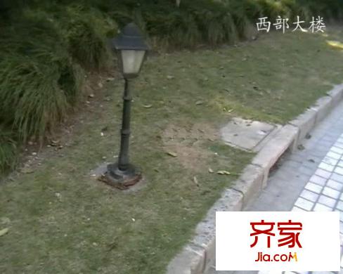 西部大楼外景图