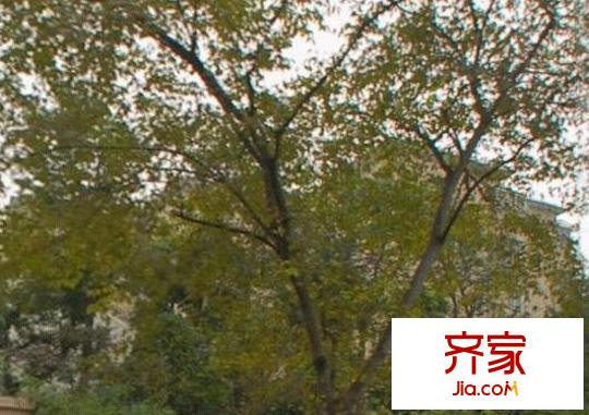 又一村(长宁)外景图一村(长宁)