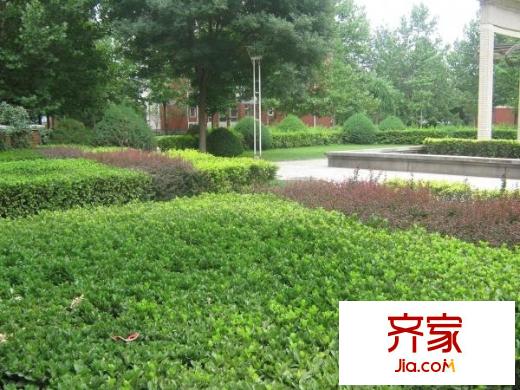 军博电信宿舍外景图