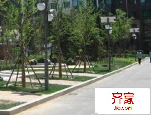 麦子店居住区外景图绿化