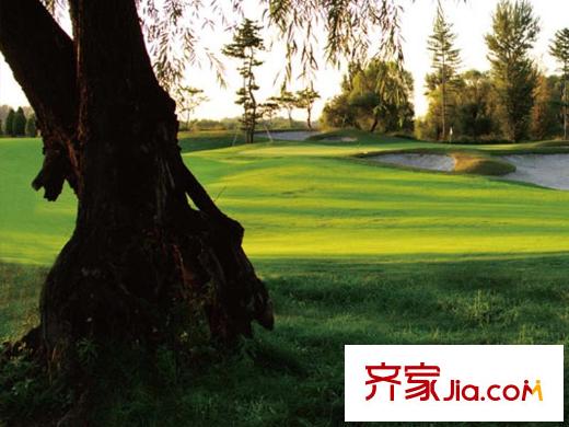 夏威夷蓝湾周边配套-高尔夫球场