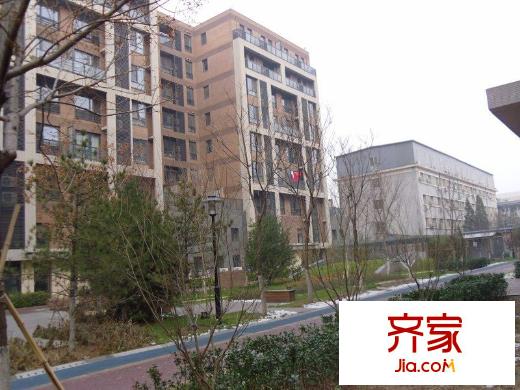 雅世合金公寓外景图