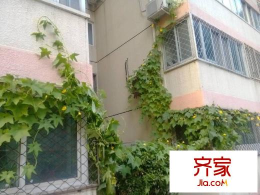中和家园外景图