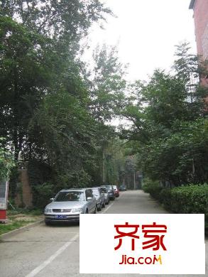 黄庄小区外景图