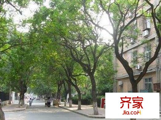 黄庄小区外景图