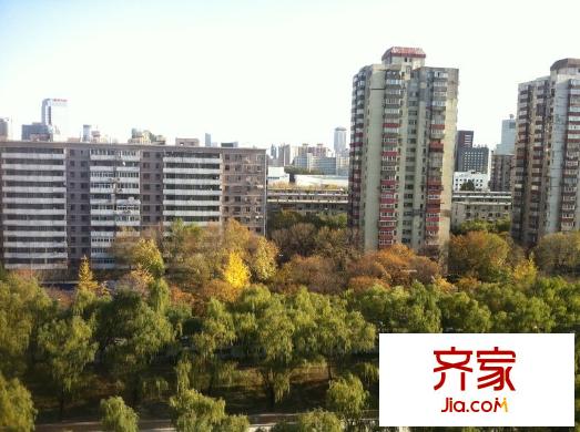光熙门北里外景图
