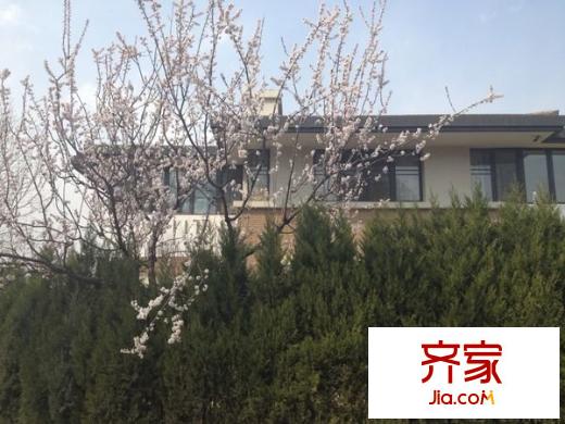西山美庐外景图