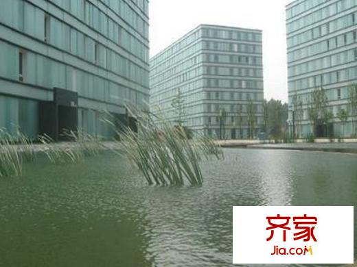 上第moma外景图