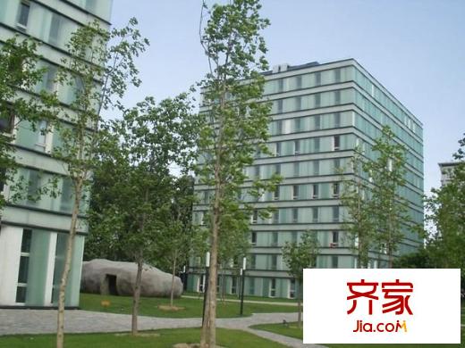上第moma外景图