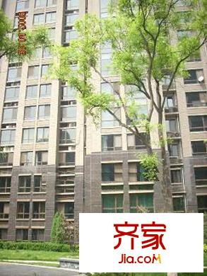 威尔夏大道外景图