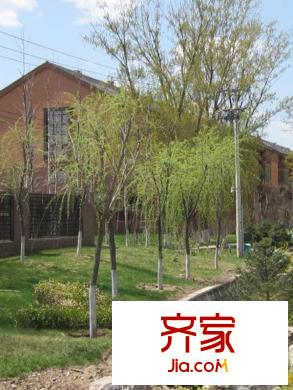 燕西台实景图园林2013.4