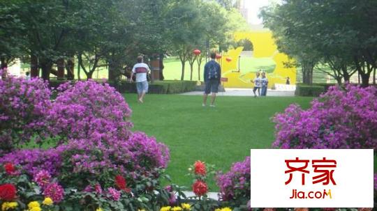 新城国际公寓四期外景图