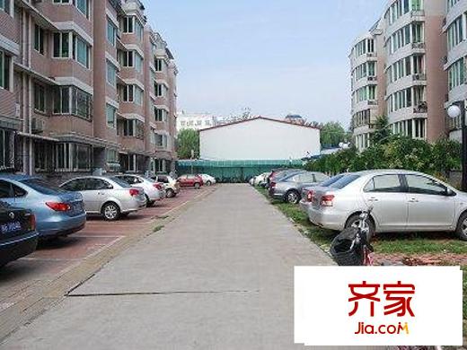 柳岸景园外景图道路