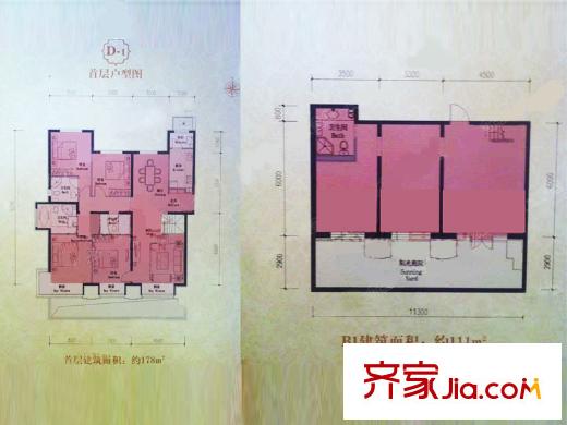 润泽公馆10号楼D-1户型图 5室3厅2卫1厨